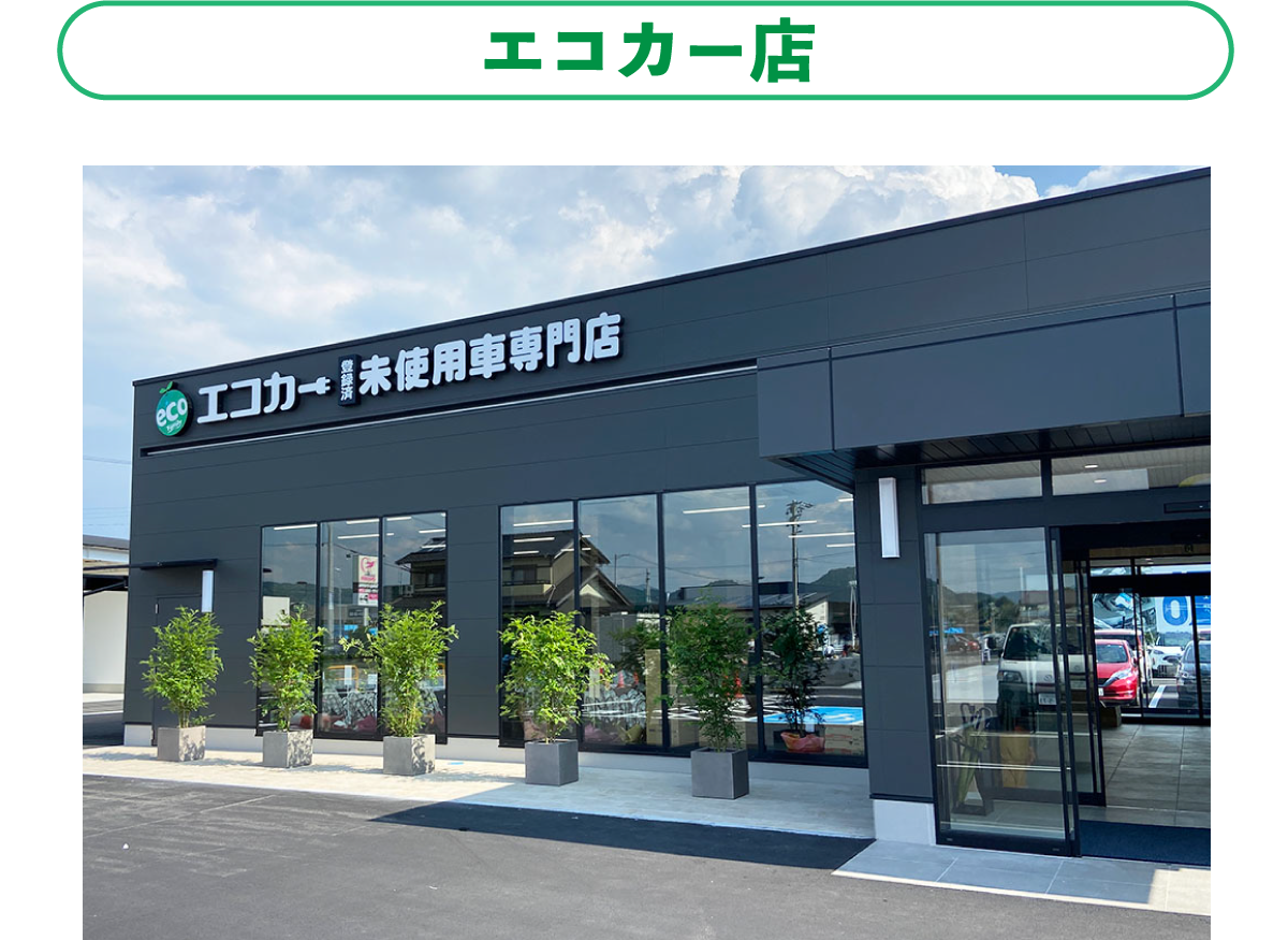 エコカー店