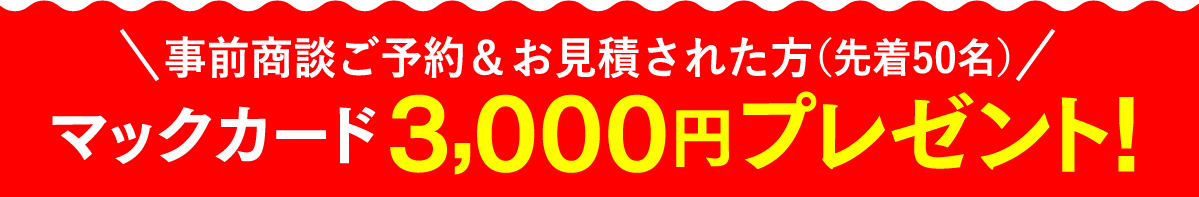 普通車エコカー店